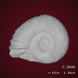 Sádrový trilobit č. 2646